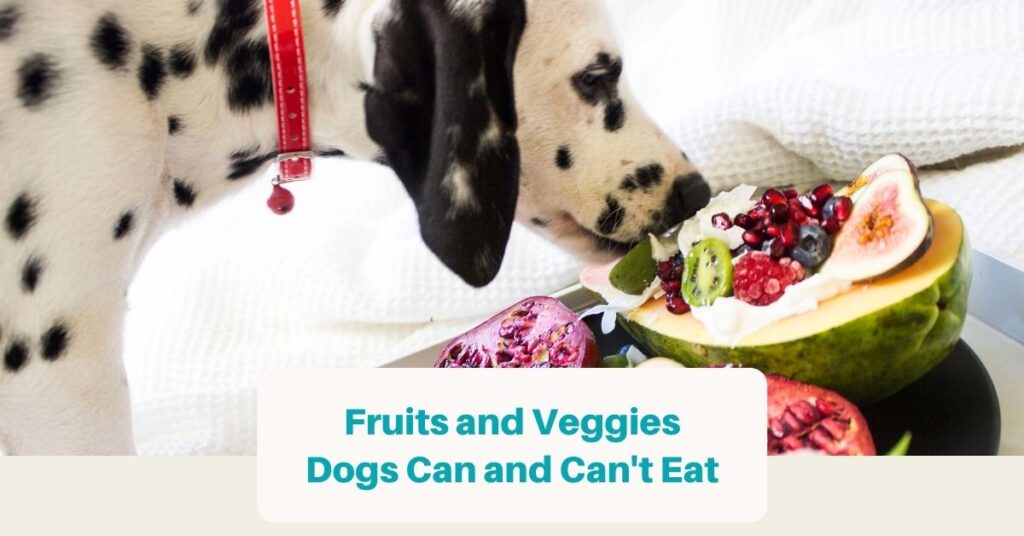 fruits and veggies dog can and can't eat