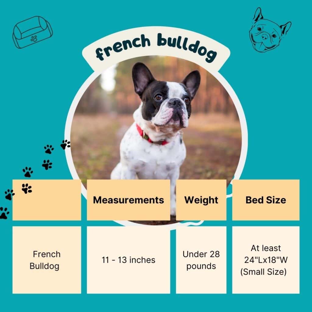 French Bulldog Dog Bed Size Guide
