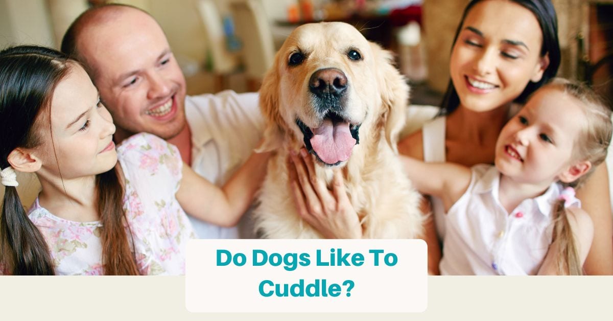 Do Dog Like to Cuddle (Resource Page)