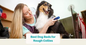 Best Dog Beds for Rough Collies (Facebook Ad)