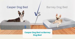 Casper Dog Bed vs Barney Dog Bed (Facebook Ad)