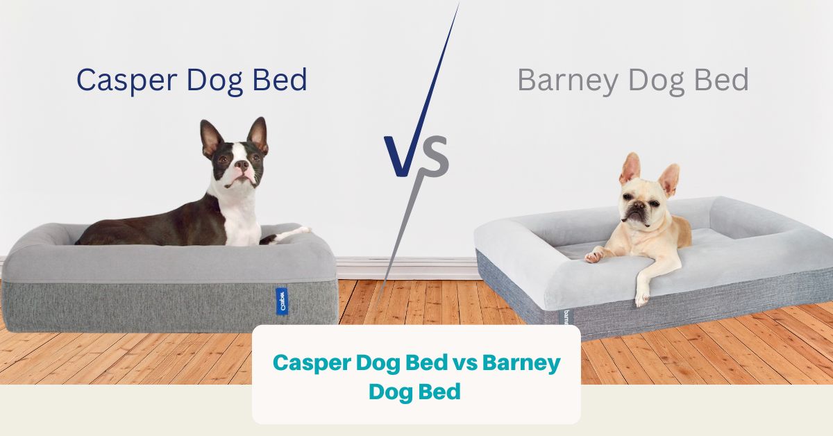 Casper Dog Bed vs Barney Dog Bed (Facebook Ad)