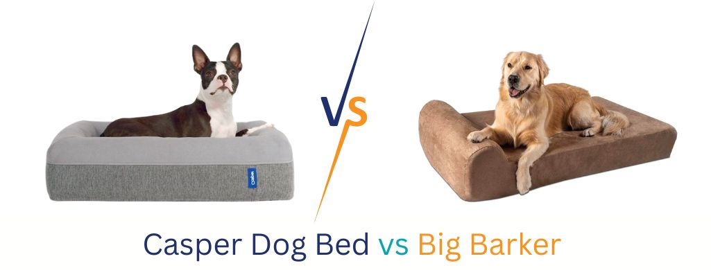 Casper Dog Bed vs Big Barker (cover)