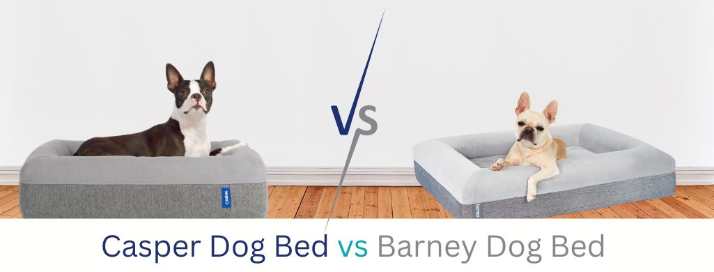 Casper vs Barney Dog Bed (cover)