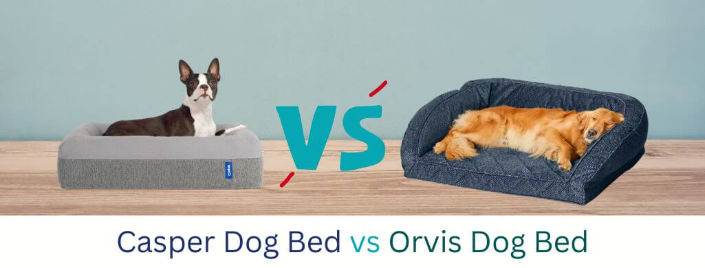 Casper vs Orvis Dog Bed (cover)