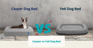 Casper vs Yeti Dog Bed (Facebook Ad)