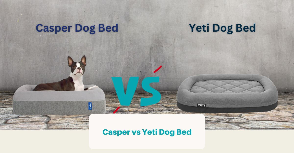 Casper vs Yeti Dog Bed (Facebook Ad)