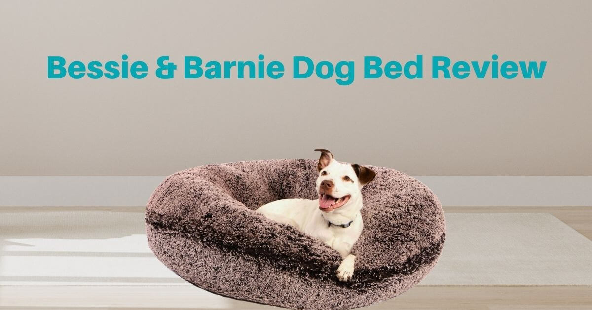 Bessie and Barnie Dog Bed Reviews: Bagel Bed – Comfortable? - Best Dog ...