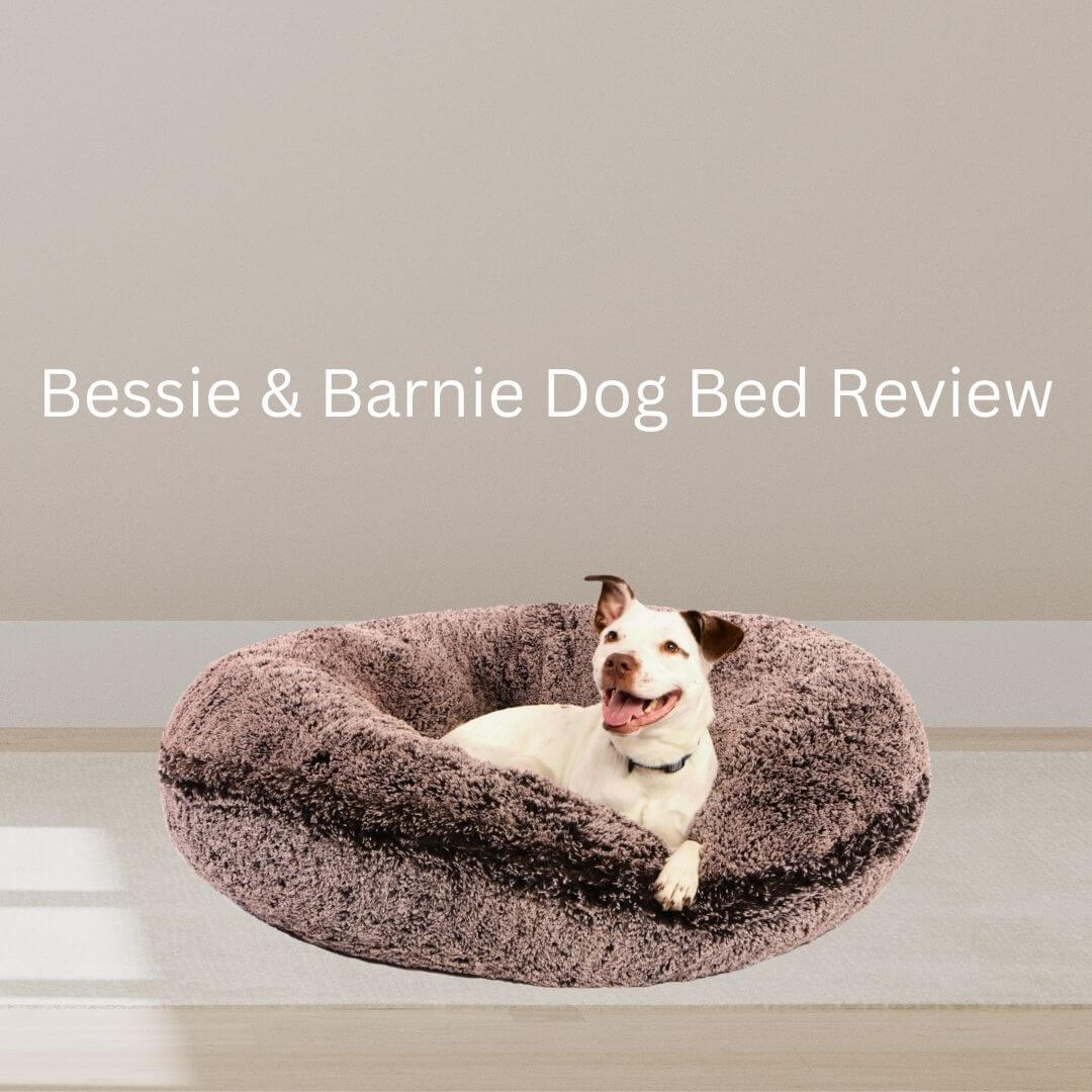 Bessie & Barnie Dog Bed Review (Featured)