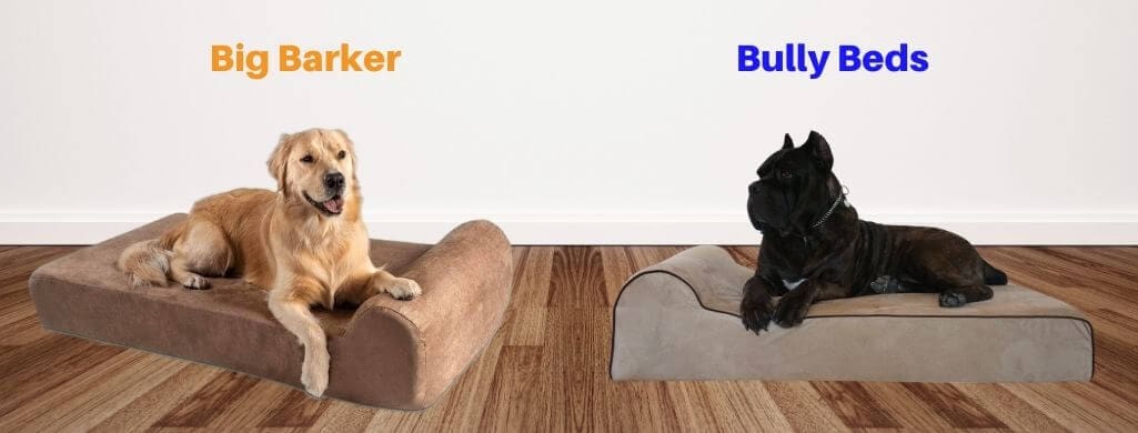 Big Barker vs Bully Beds (cover)