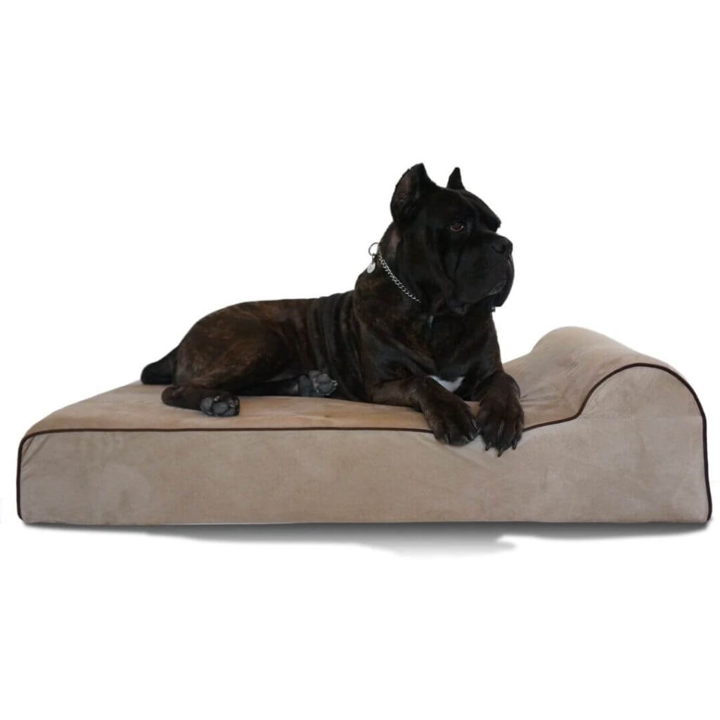 Bully Bed Orthopedic Dog Bed