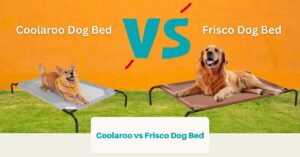 Coolaroo vs Frisco Dog Bed