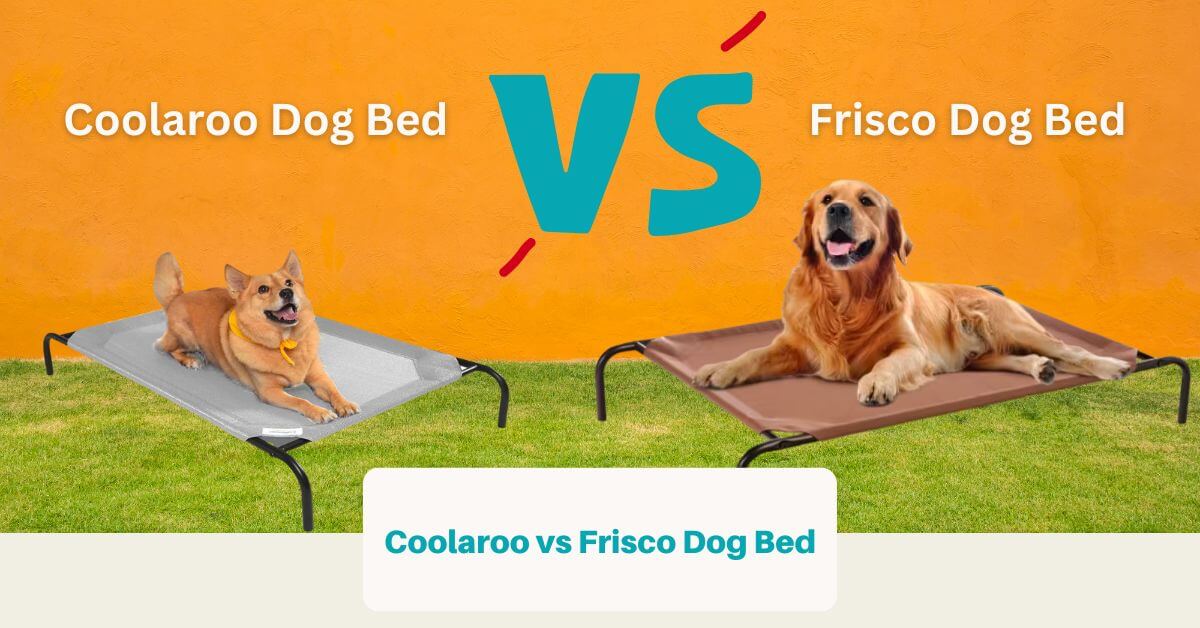 Coolaroo vs Frisco Dog Bed