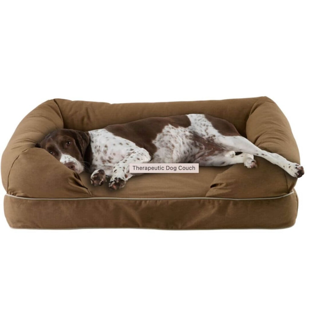LL Bean Therapeutic Dog Couch review