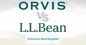 Orvis vs LL Bean Dog Beds (FB Ad)