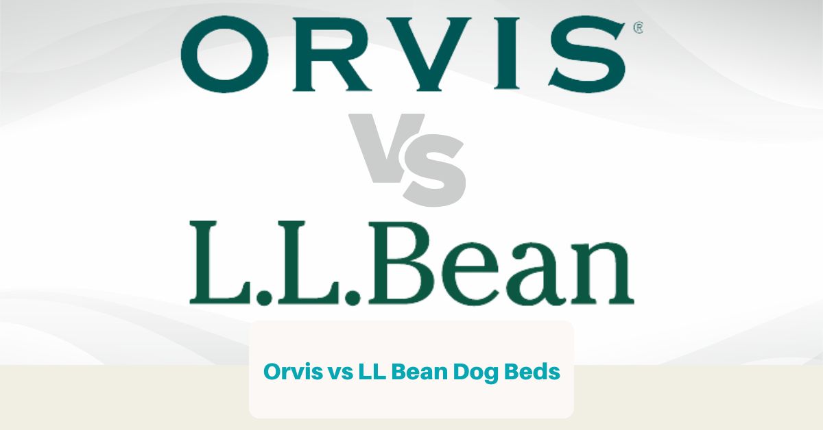 Orvis vs LL Bean Dog Beds (FB Ad)