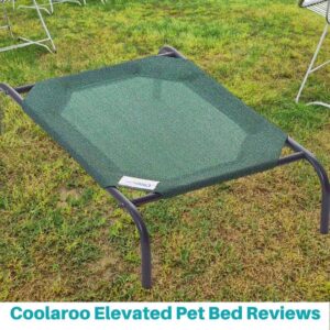 Coolaroo Elevated Pet Bed Reviews (Featured)-2