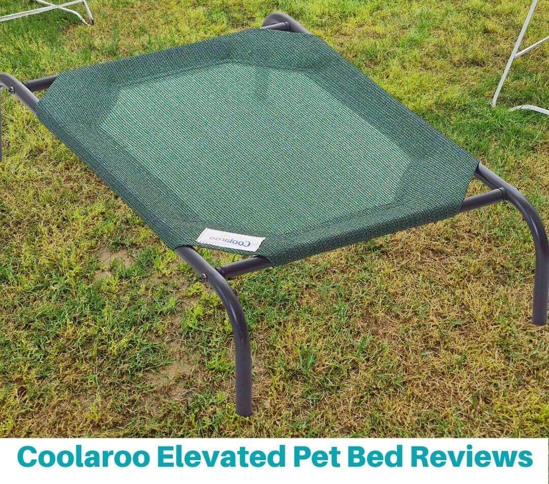 Coolaroo Elevated Pet Bed Reviews (Featured)-2