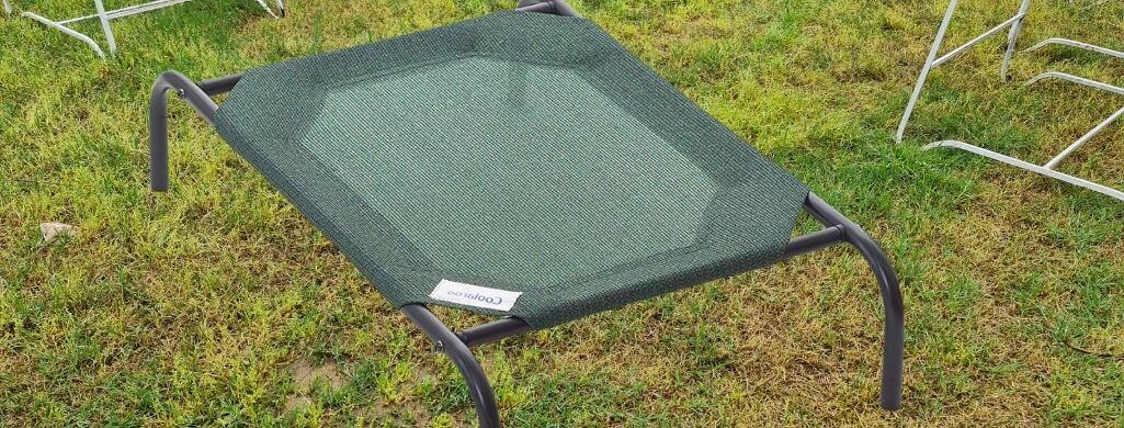 Coolaroo Elevated Pet Bed Reviews (cover)