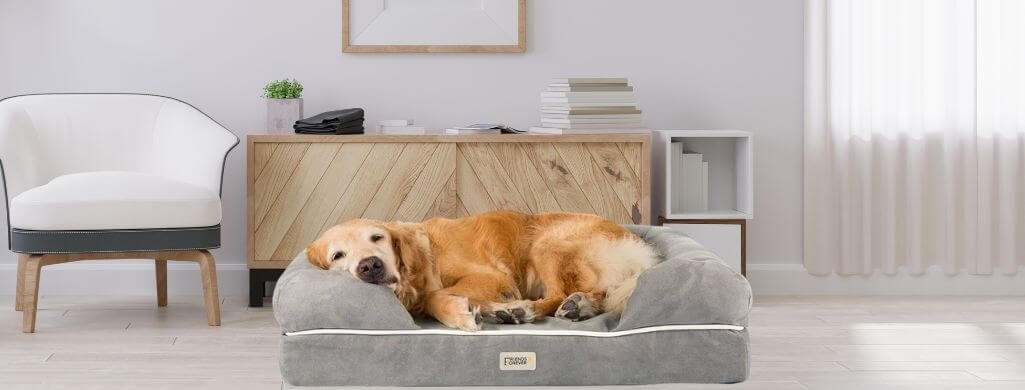 Friends Forever Dog Bed Review