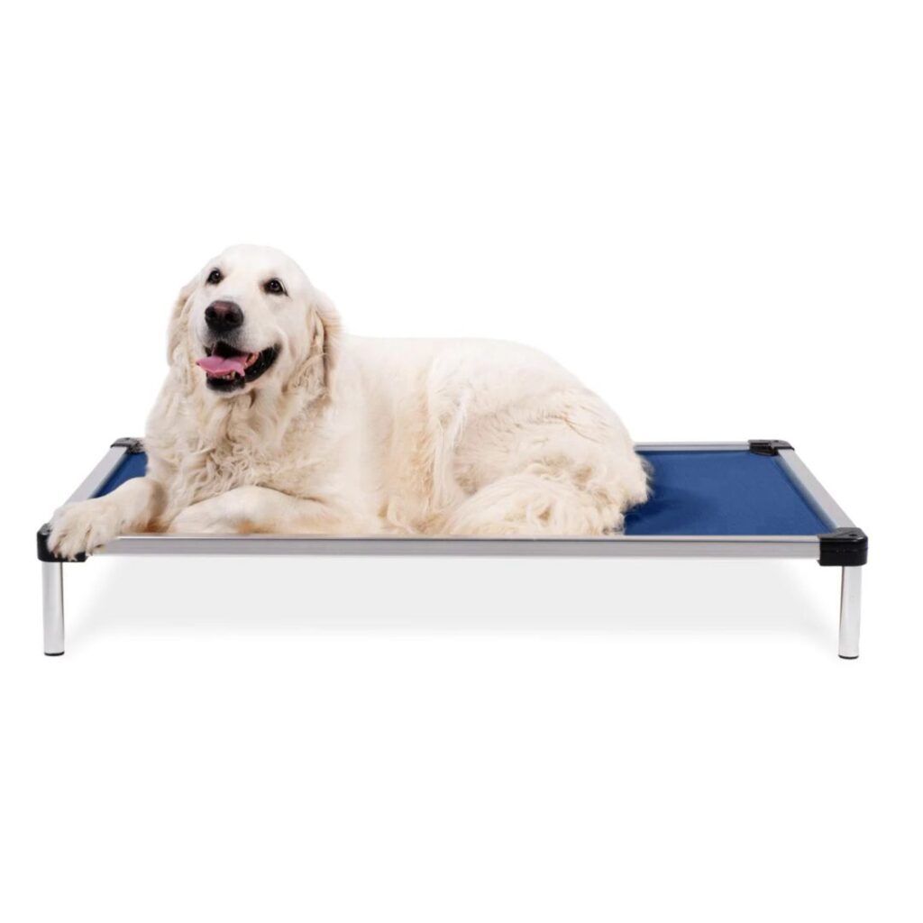 K9-Chew-Proof-Elevated-Dog-Bed