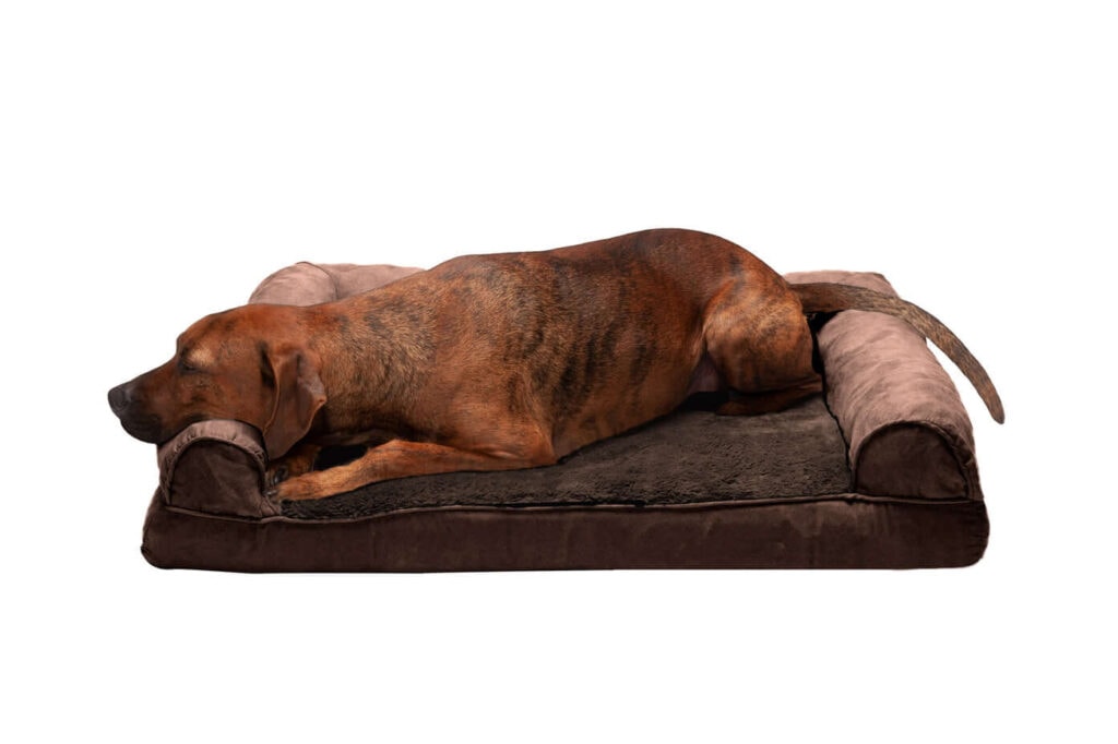 Furhaven Sofa-Style Dog Bed 