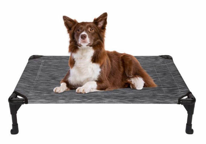 veehoo elevated dog bed review