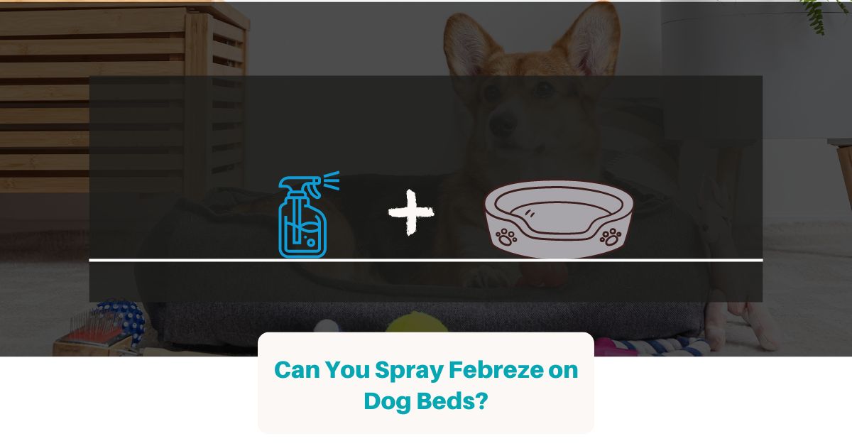 Can You Spray Febreze on Dog Beds? Is it Safe for Pets? Best Dog