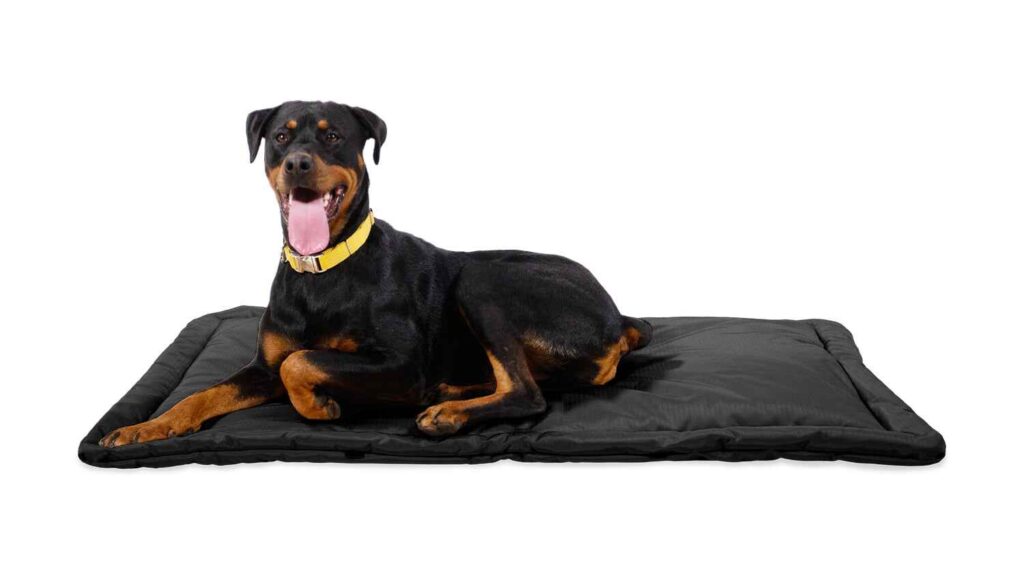 K9 Ballistics Chew Proof Elevated Dog Bed